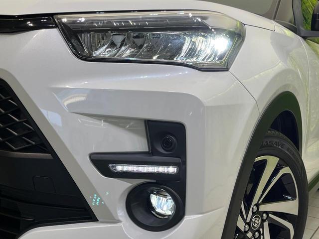 24541771_carP_l_6.jpg