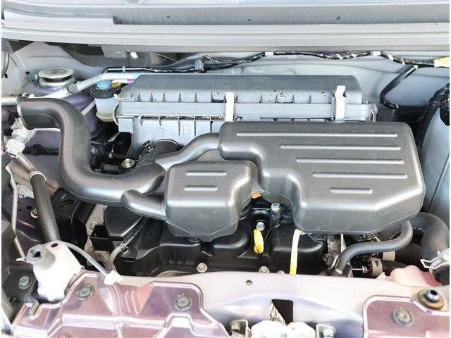 23363597_carP_l_18.jpg