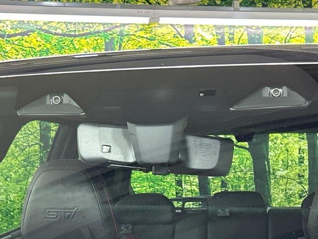 24932879_carP_l_14.jpg