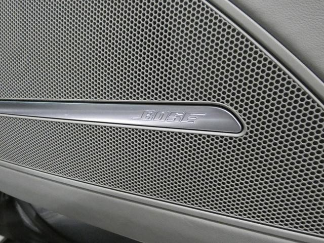26022575_carP_l_8.jpg