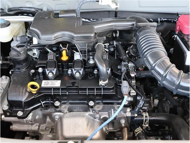 23363612_carP_l_20.jpg