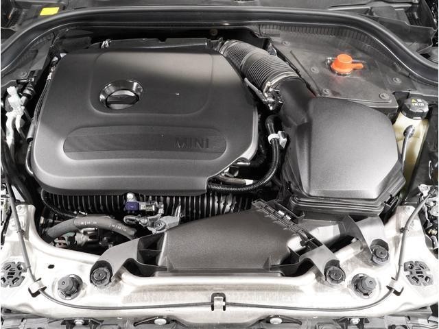 25544432_carP_l_17.jpg
