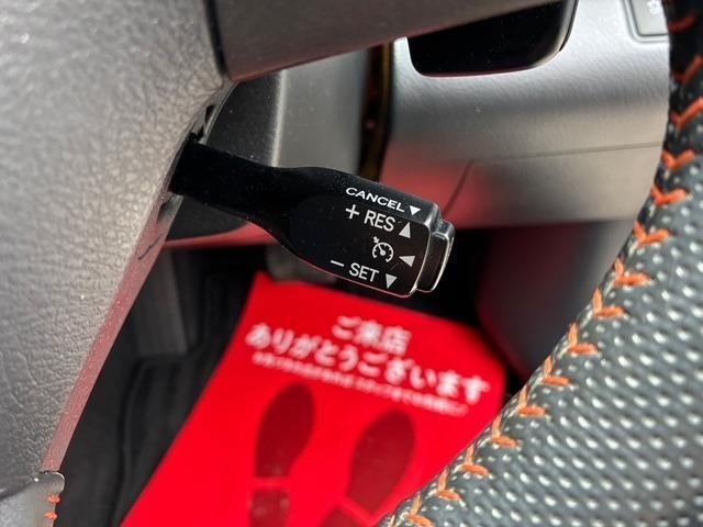 25215438_carP_l_7.jpg