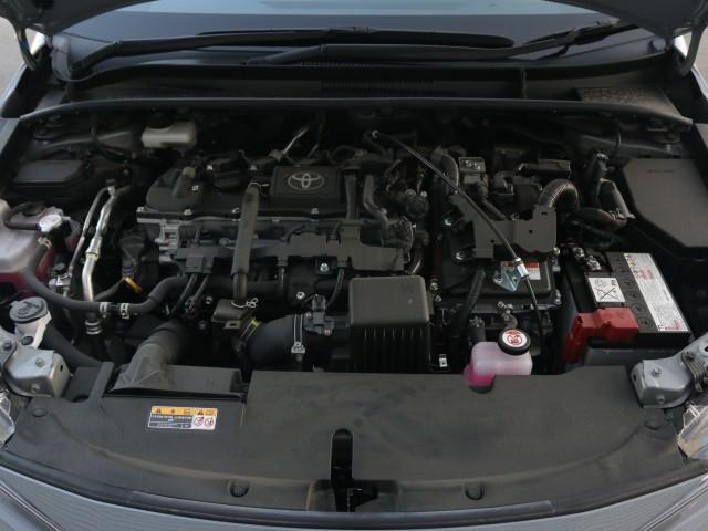 23363353_carP_l_17.jpg