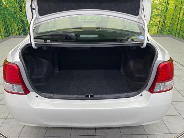 23437932_carP_l_2.jpg