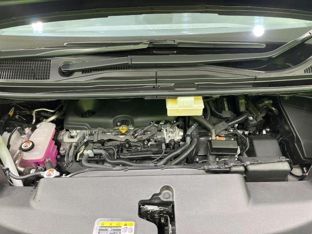 23635781_carP_l_16.jpg