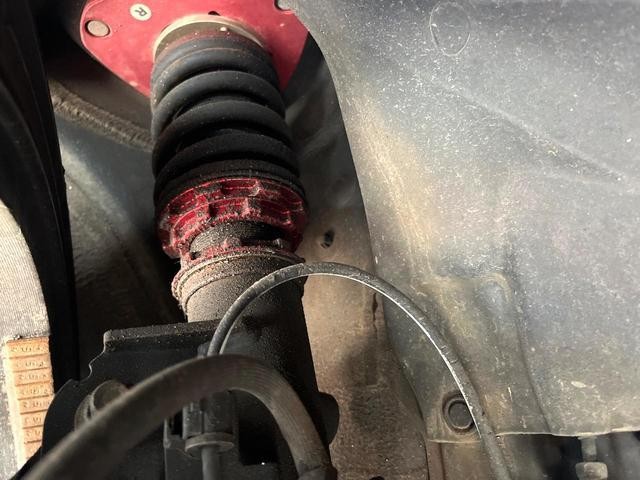 24601938_carP_l_20.jpg