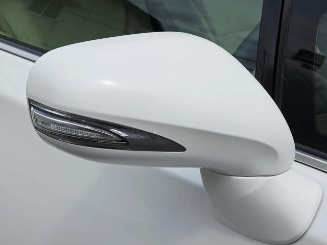26293158_carP_l_11.jpg