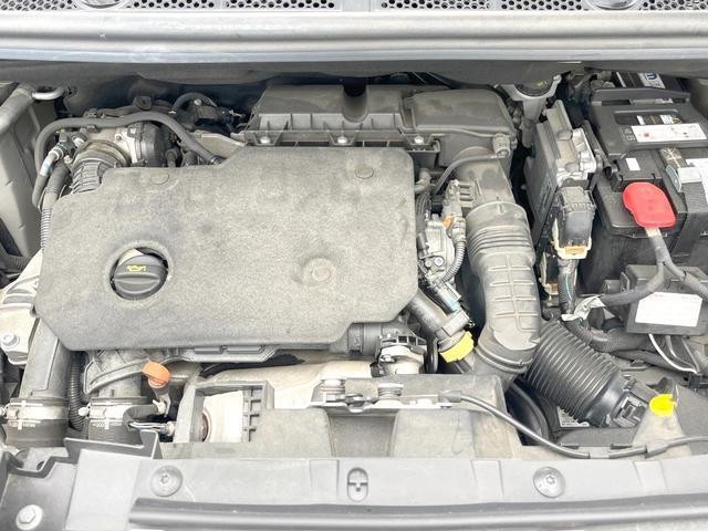 24238890_carP_l_18.jpg