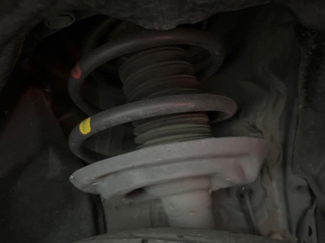 24602117_carP_l_20.jpg