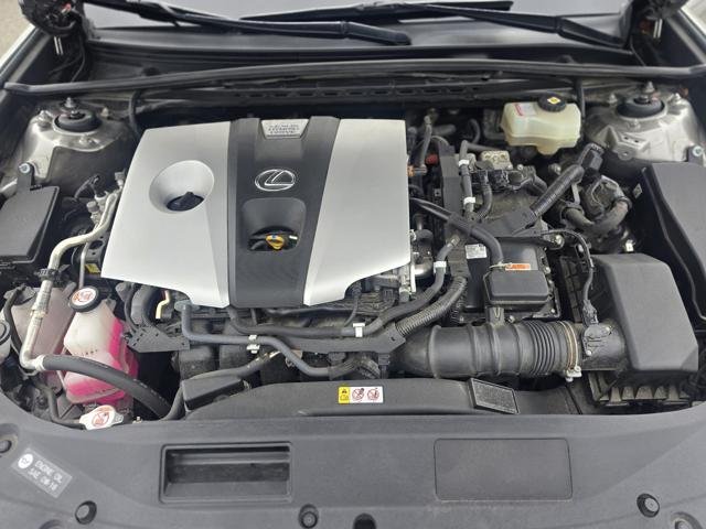 d75ef29c348f3fffec97ccb137ff3803.jpeg