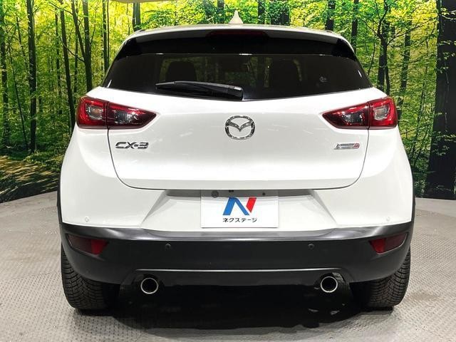 26946633_carP_l_9.jpg