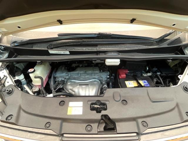25652822_carP_l_16.jpg
