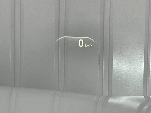 24659134_carP_l_10.jpg