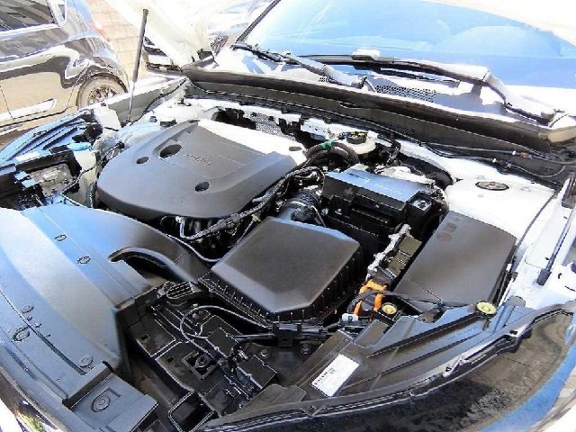 b923e426937e43d9252c5cc68ab5b345.jpeg