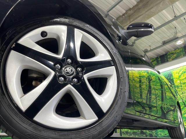 25364326_carP_l_7.jpg