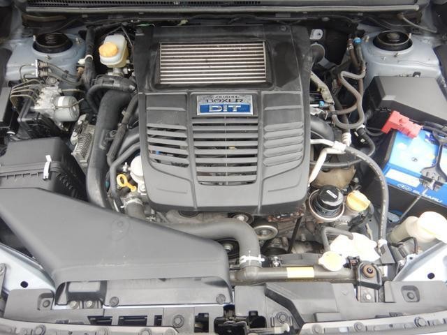 24953936_carP_l_18.jpg