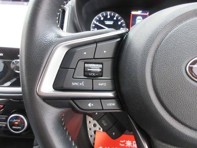 25199503_carP_l_6.jpg