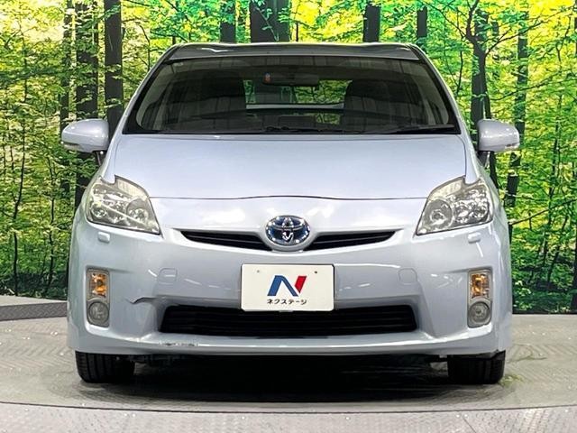 25303818_carP_l_8.jpg