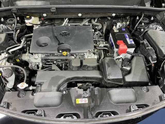 24849840_carP_l_16.jpg