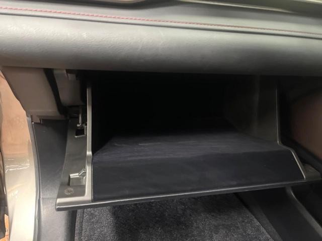 26467832_carP_l_20.jpg
