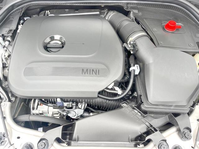 24807703_carP_l_18.jpg
