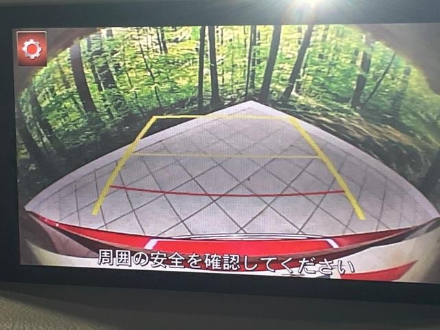 25096745_carP_l_10.jpg