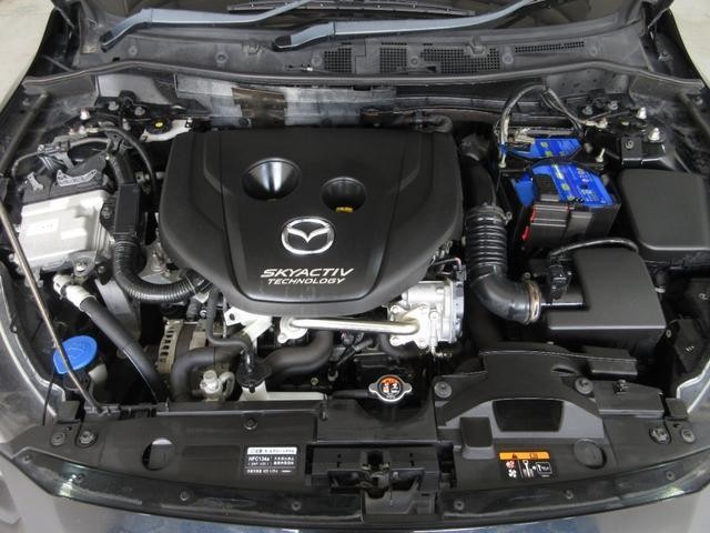 26267314_carP_l_20.jpg