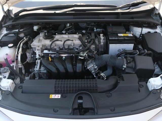 25658473_carP_l_17.jpg