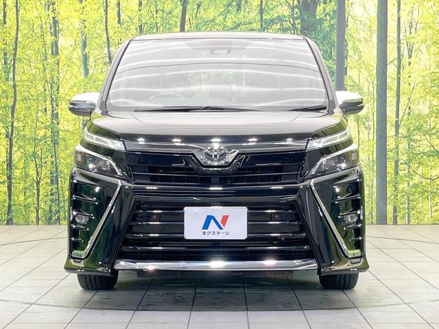 23808369_carP_l_9.jpg