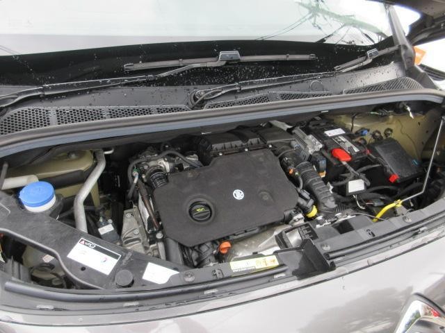 27227772_carP_l_17.jpg