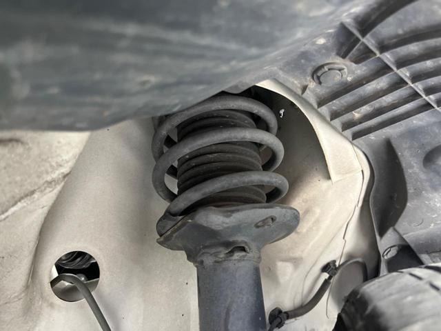 24849516_carP_l_18.jpg