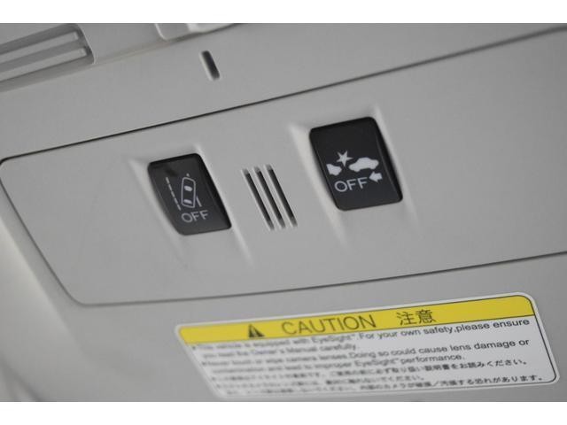 25132431_carP_l_9.jpg