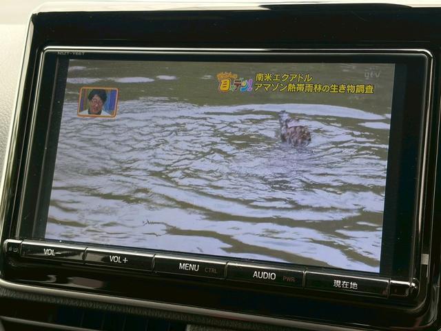 24581587_carP_l_10.jpg