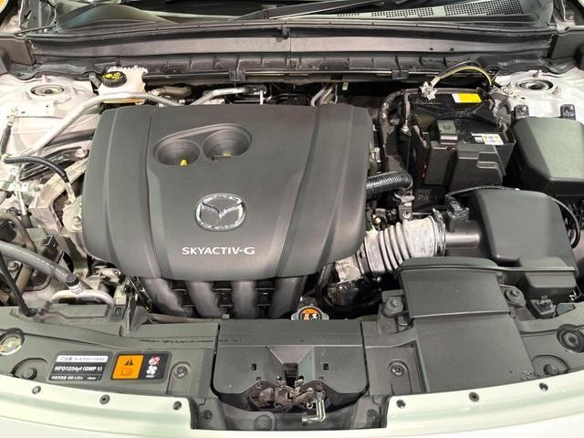 24767342_carP_l_16.jpg