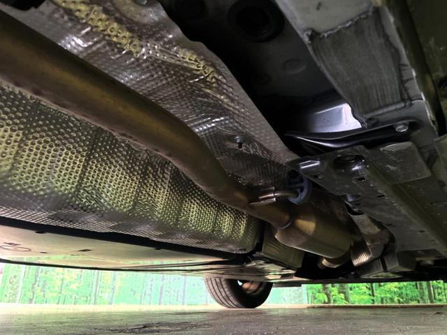 24461245_carP_l_18.jpg