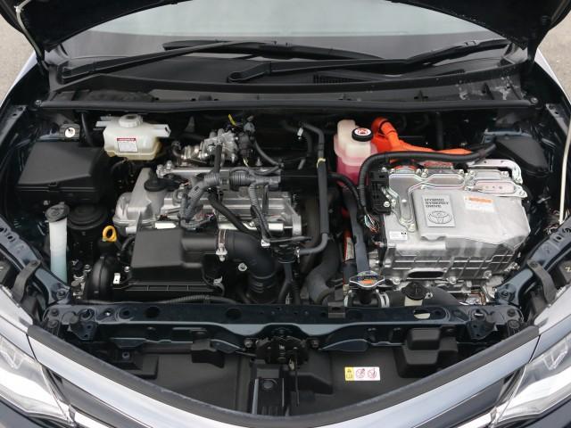 23831916_carP_l_17.jpg