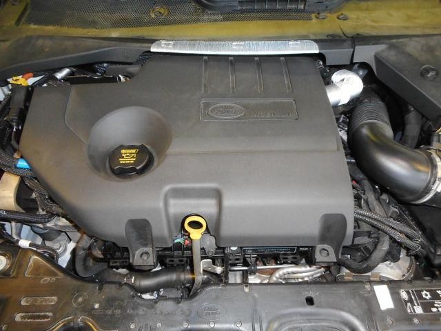 24852214_carP_l_20.jpg