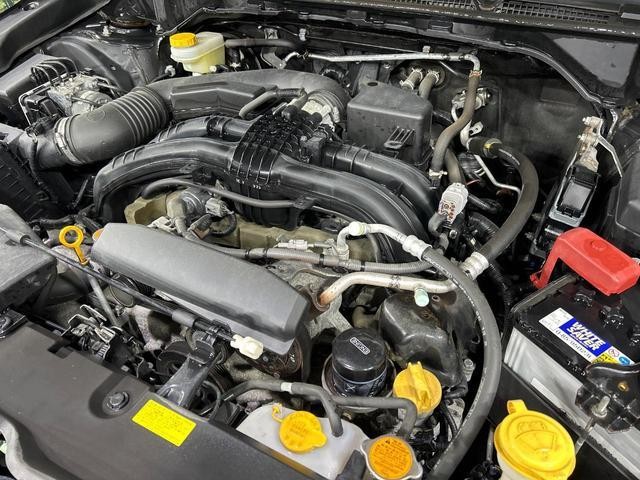 23945464_carP_l_16.jpg