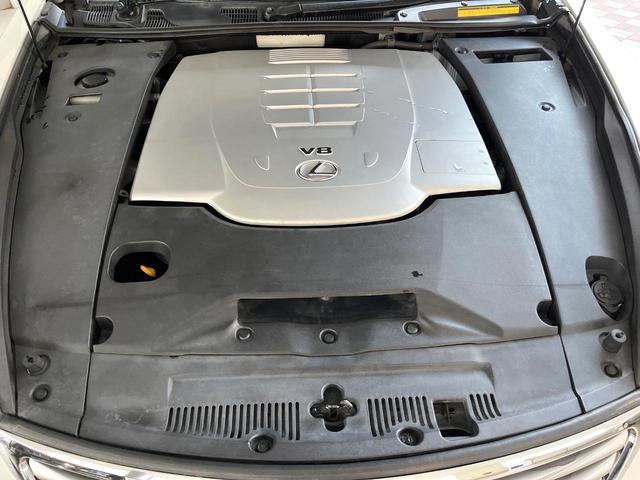 23694800_carP_l_12.jpg