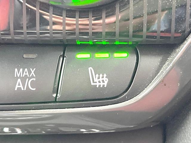 22875376_carP_l_17.jpg