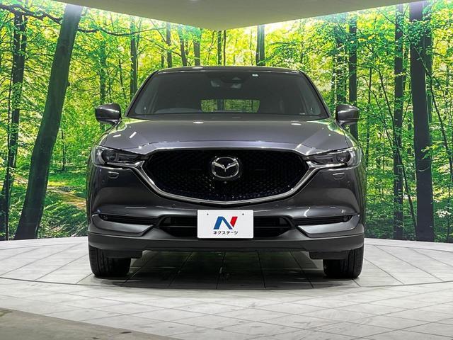 23054691_carP_l_8.jpg