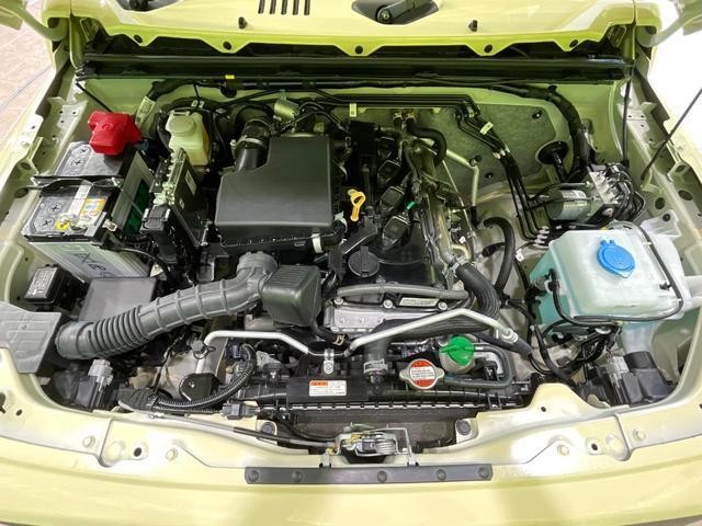 26189784_carP_l_18.jpg