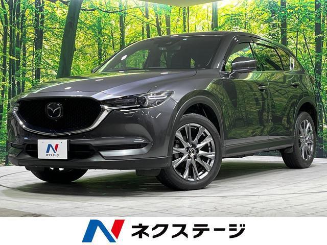 23054691_carP_l_1.jpg