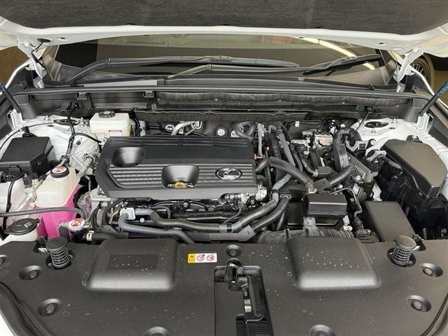 27205219_carP_l_11.jpg