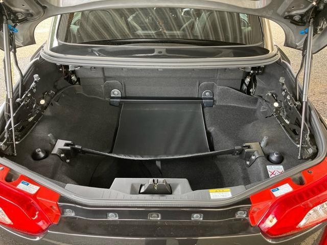 25543276_carP_l_9.jpg