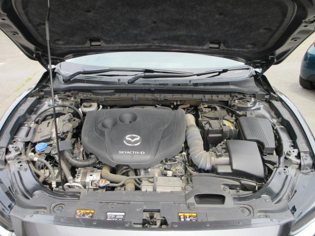 24623627_carP_l_17.jpg