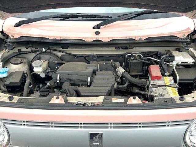 24521688_carP_l_16.jpg