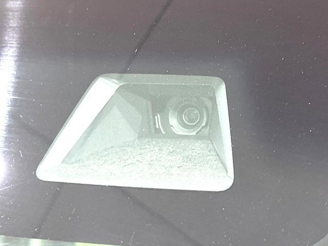24994789_carP_l_13.jpg