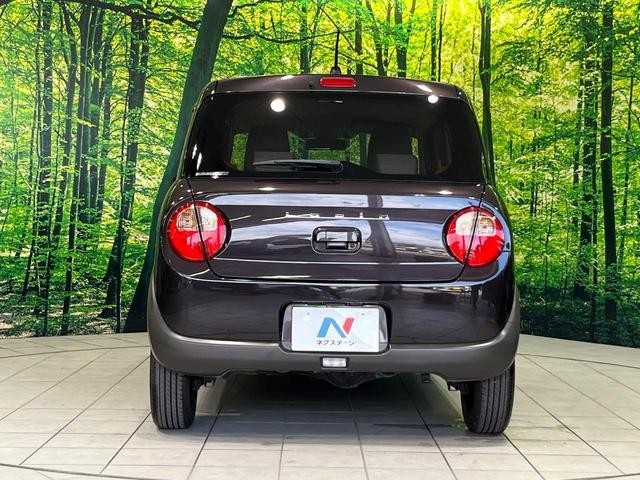 25179217_carP_l_9.jpg